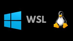 windows+wsl+linux